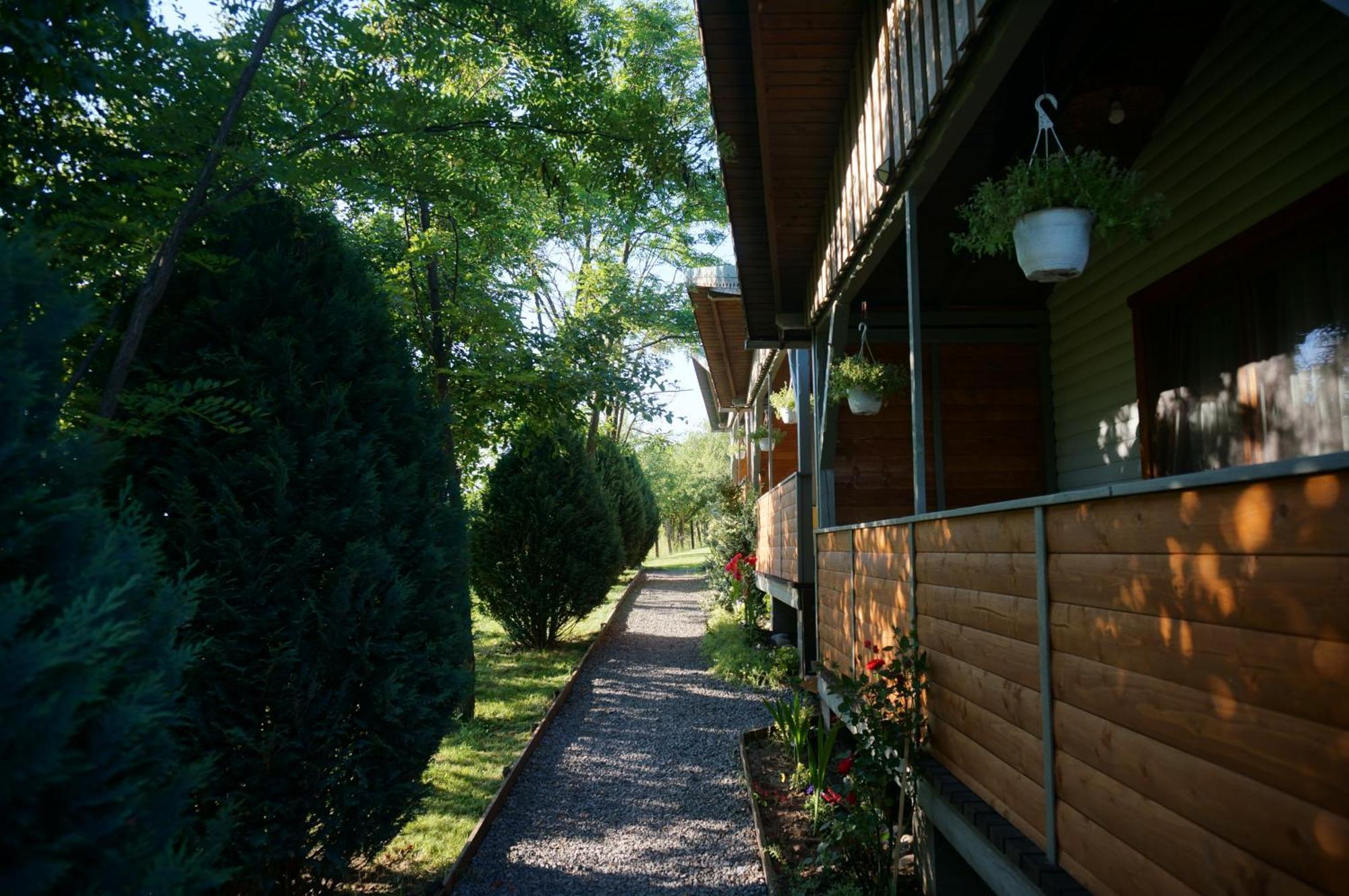 Natura Chalets Praid Exteriör bild